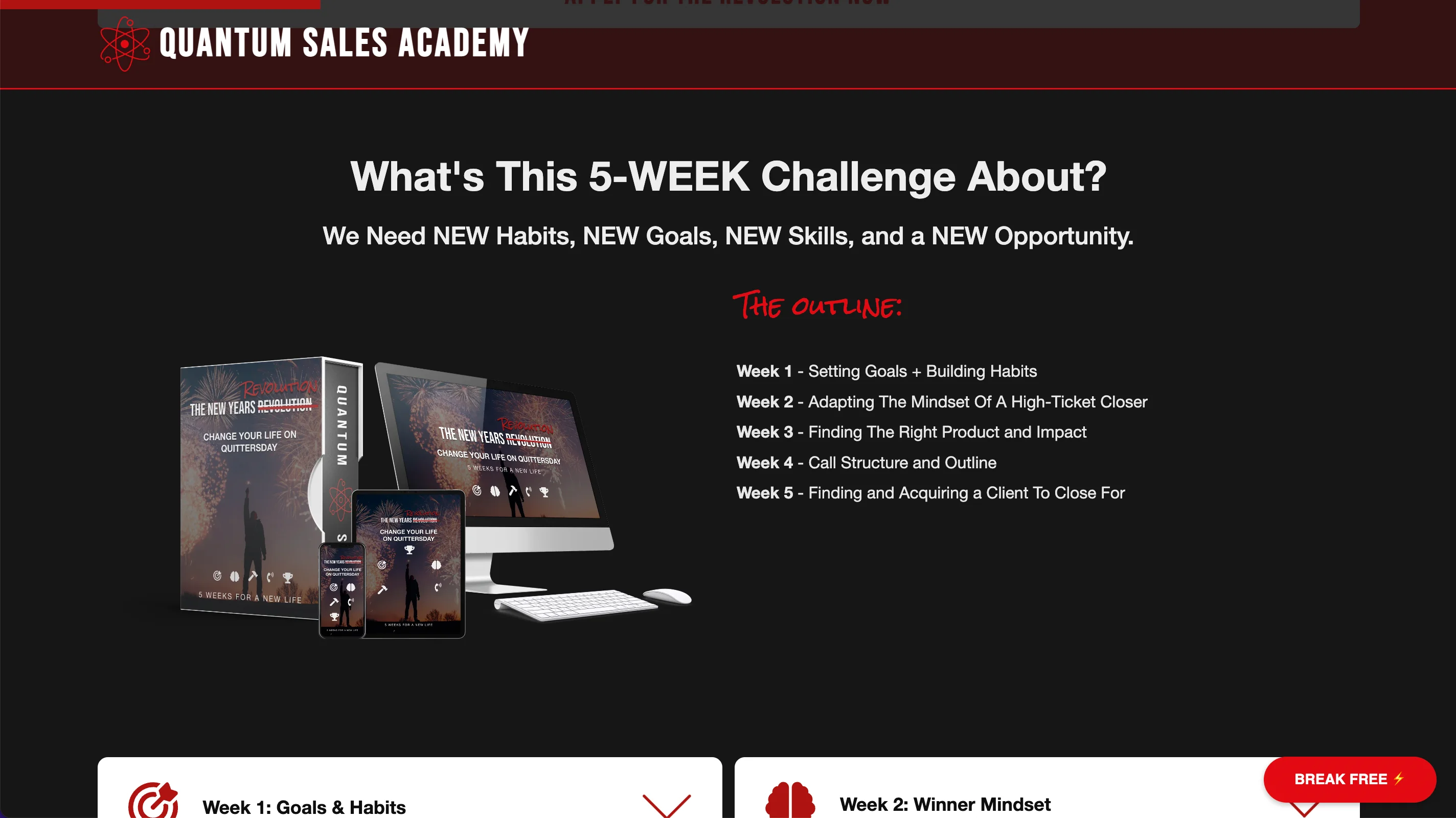 Quantum Sales Academy website by Weblyfe